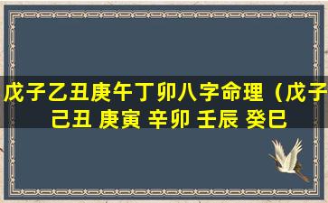 戊子乙丑庚午丁卯八字命理（戊子 己丑 庚寅 辛卯 壬辰 癸巳 甲午 乙未）